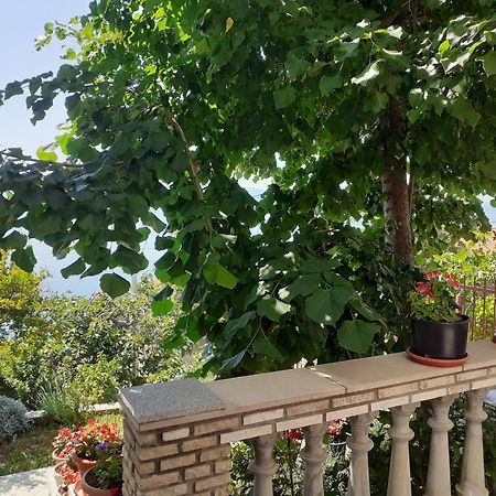 Dada Apartment Senj  Ruang foto