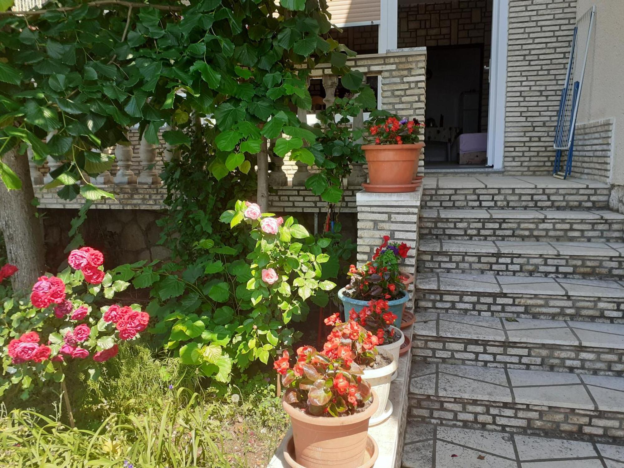 Dada Apartment Senj  Ruang foto